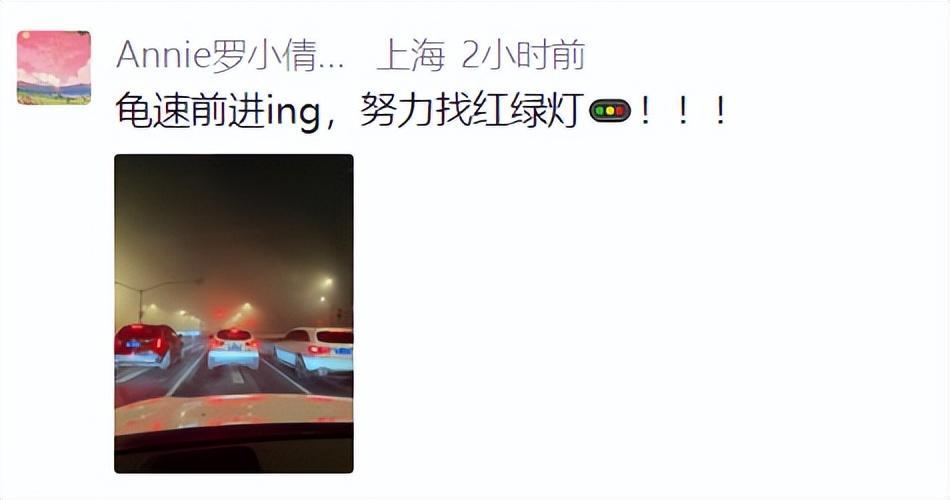 买马挣钱网站app-上海：入冬以来最强雨雪冰冻将袭！网友：没见过这么大雾，路口竟看不到红绿灯！